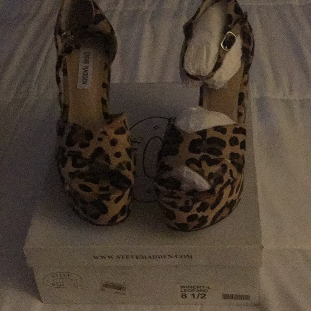 Steve Madden Wedge Shoes